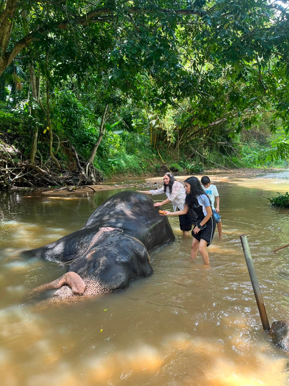 Sri Lanka Travel Moment 26